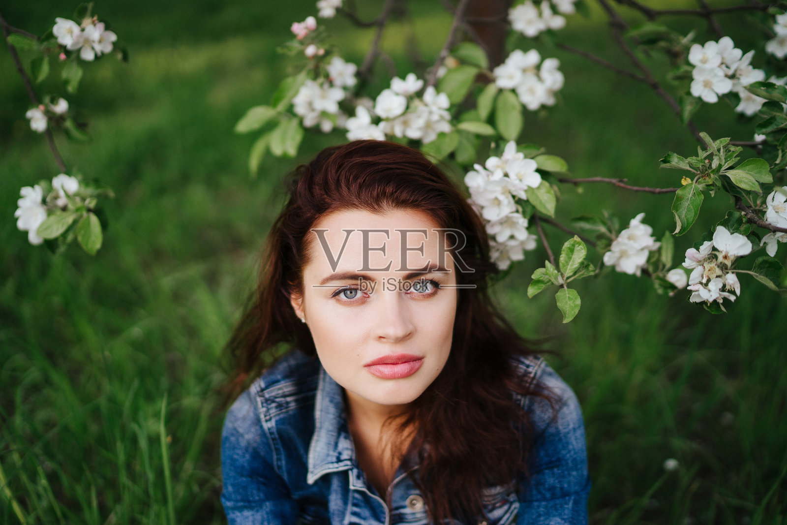 年轻而严肃的白人女性穿着牛仔裤夹克站在一棵盛开的春天的树旁。照片摄影图片