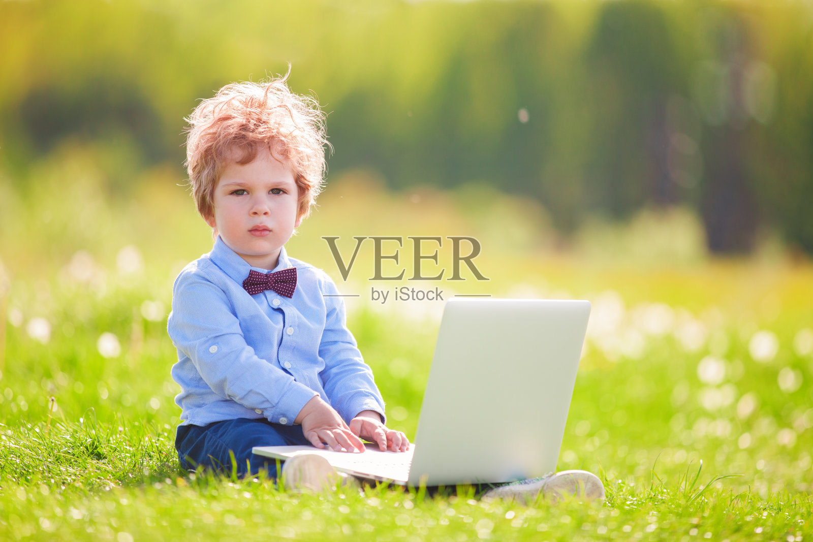 可爱的卷发小男孩打着领结，带着笔记本电脑坐在绿色的草地上。编写计算机软件的神童。照片摄影图片