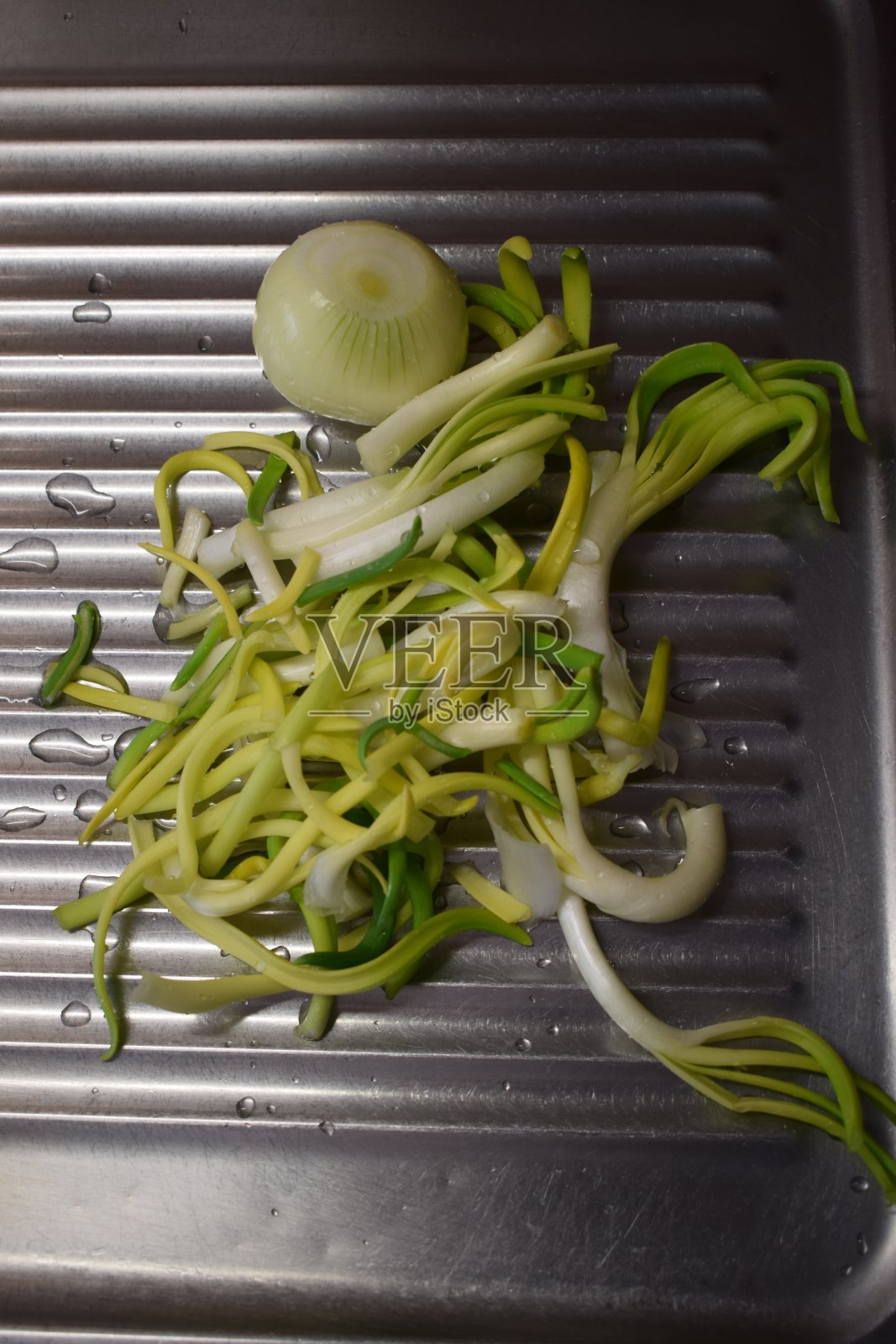 洋葱发芽照片摄影图片