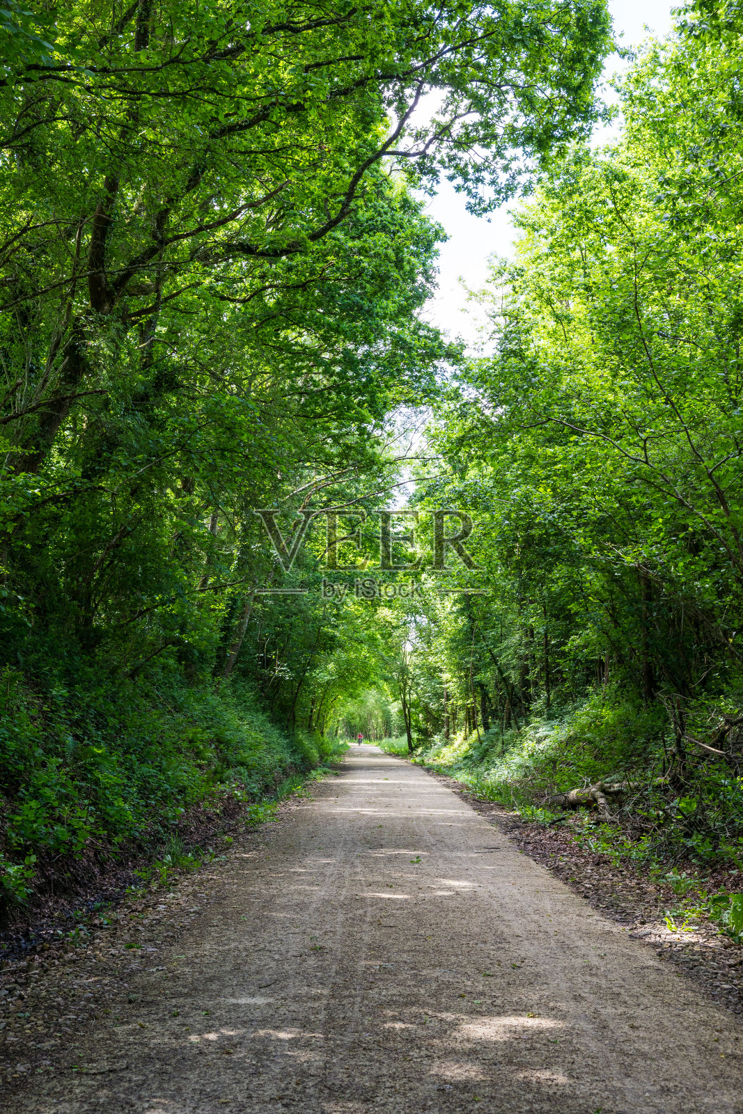 步行和自行车道从布里乌兹到大Hazé Marsh的巴格诺斯-德-奥恩照片摄影图片