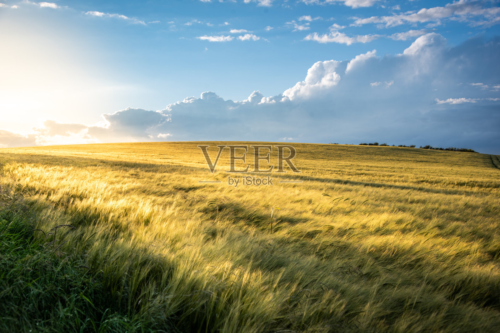 夕阳色的农田和多云的天空照片摄影图片