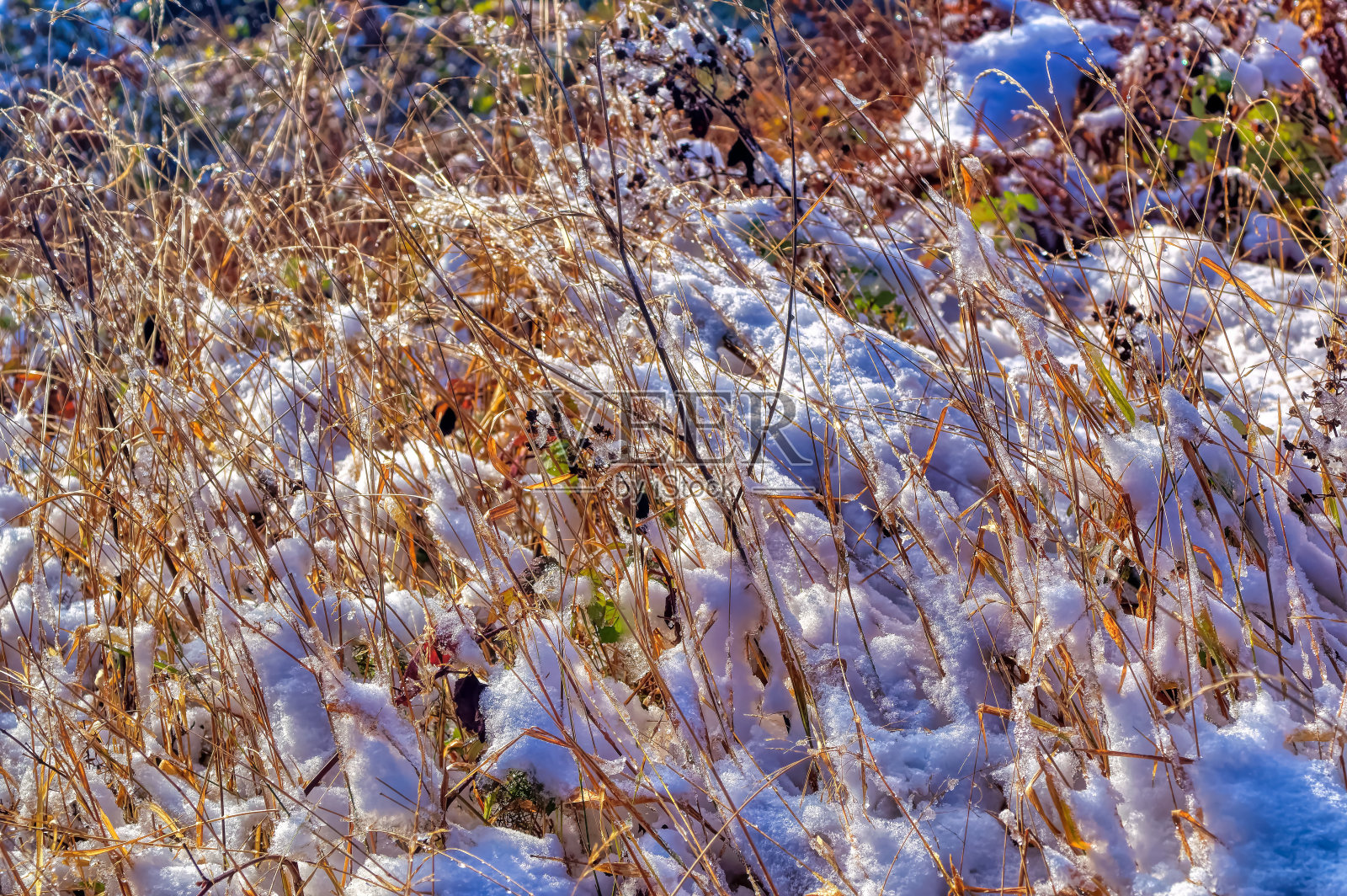在寒冷的冬天被雪覆盖的冻土。照片摄影图片