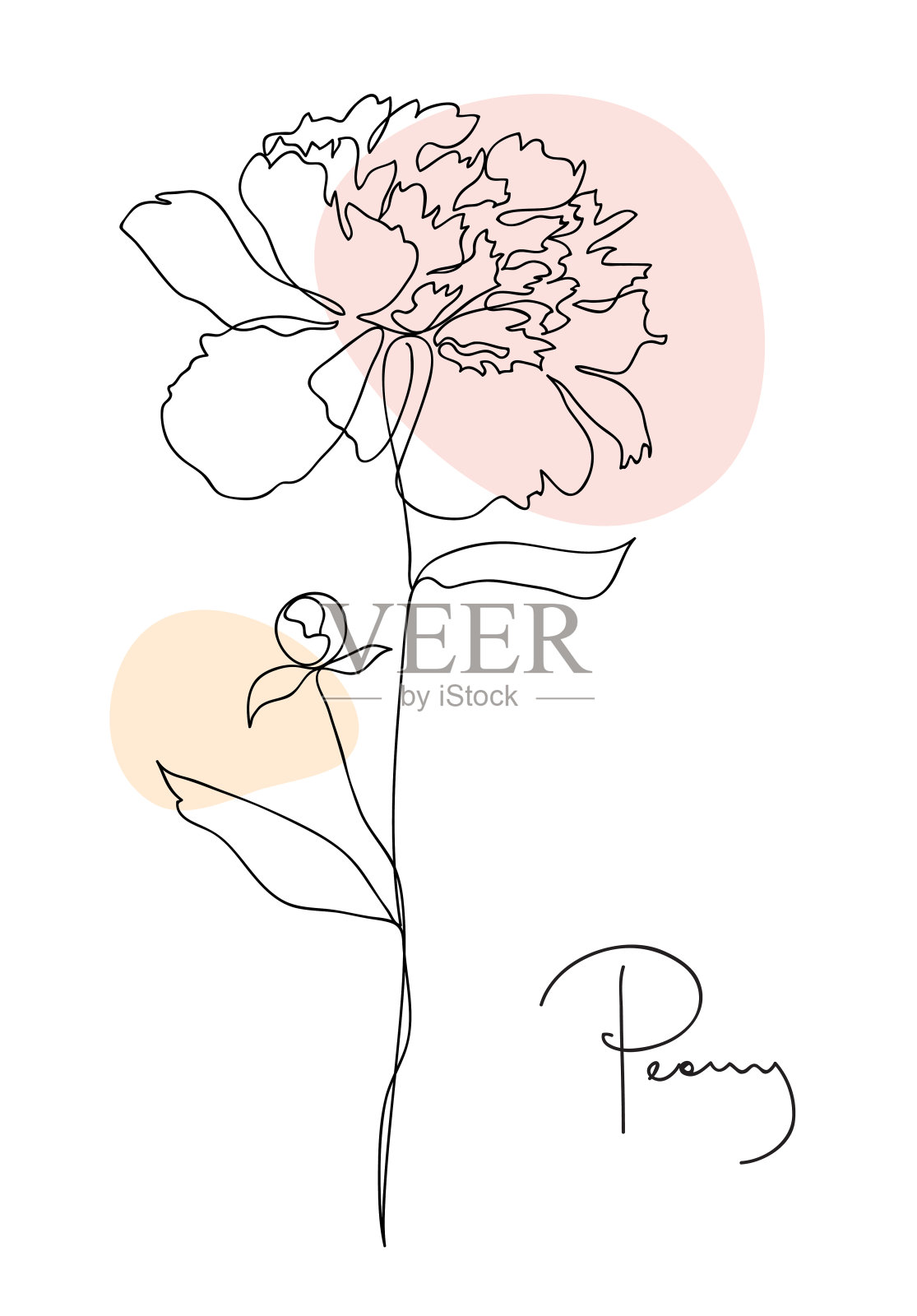 美丽的牡丹花。线条艺术概念设计。连续的线条画。程式化的花象征。矢量插图在黑色和粉彩插画图片素材
