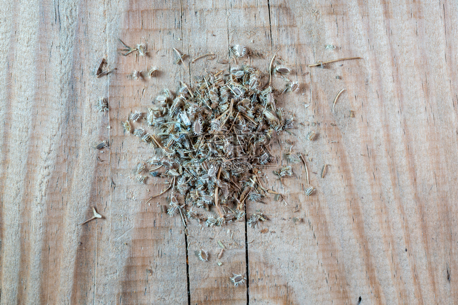 木桌上放着野生胡萝卜籽照片摄影图片