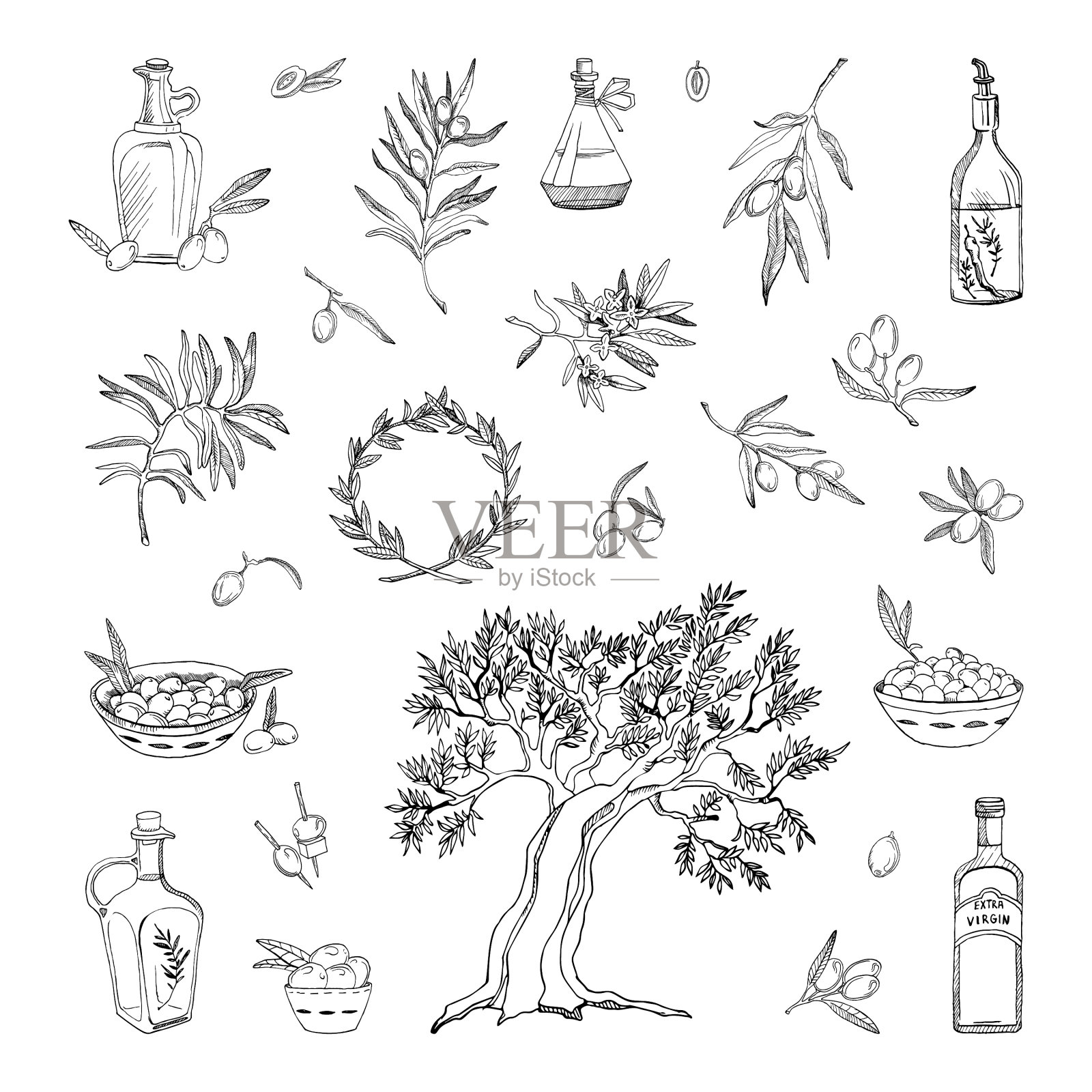 艺术墨水风格的橄榄插画图片素材