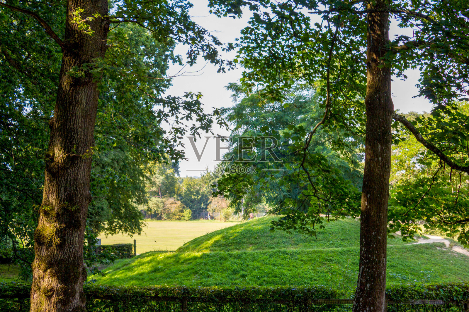 夏天的戈夫斯公园照片摄影图片