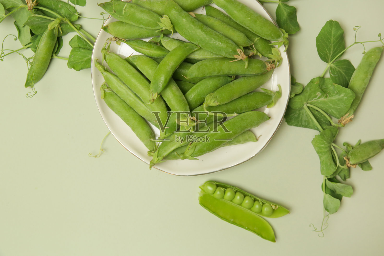餐桌上新鲜收获的有机青豆照片摄影图片