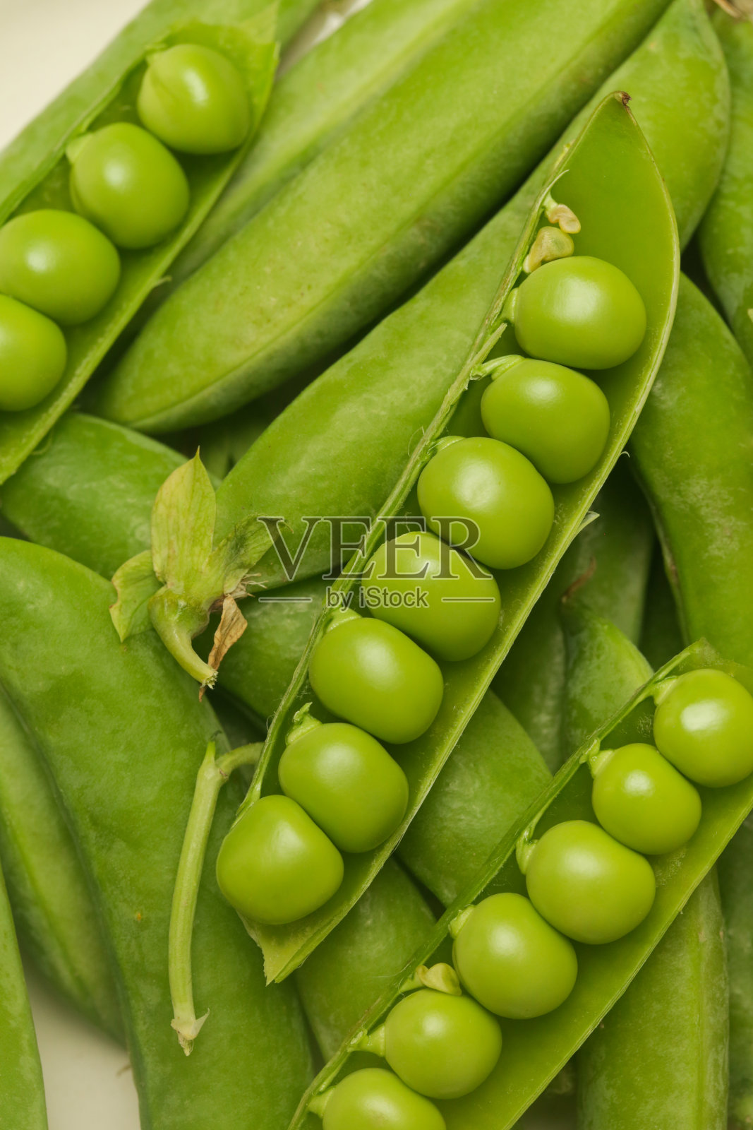 餐桌上新鲜收获的有机青豆照片摄影图片