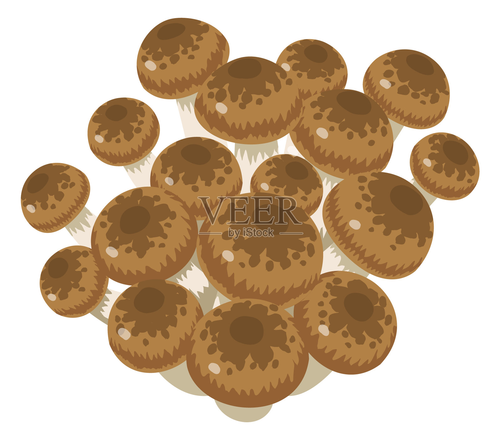 白色背景下的Shimeji蘑菇插画图片素材