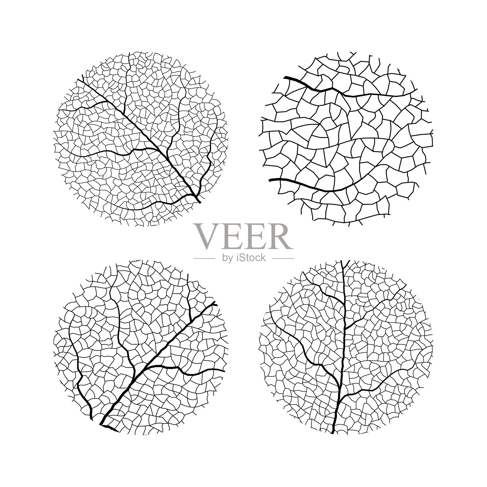 叶脉纹理离生透明插画图片素材