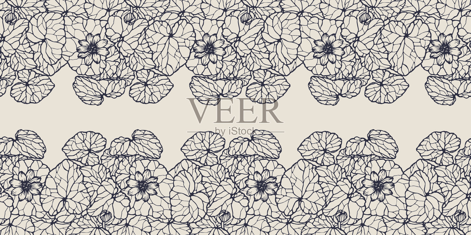 无缝边界较小白屈菜插画图片素材