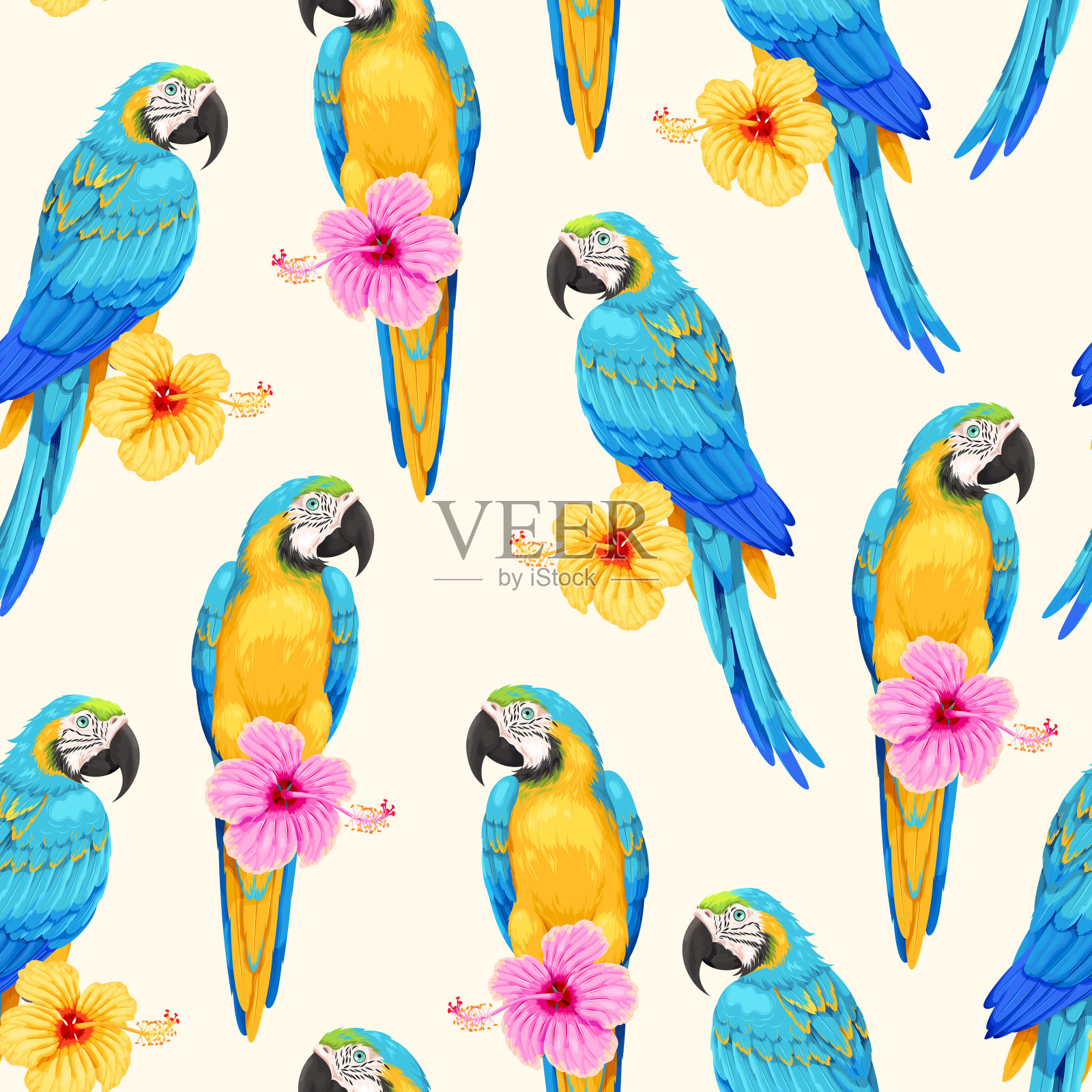 无缝图案与金刚鹦鹉和花朵插画图片素材