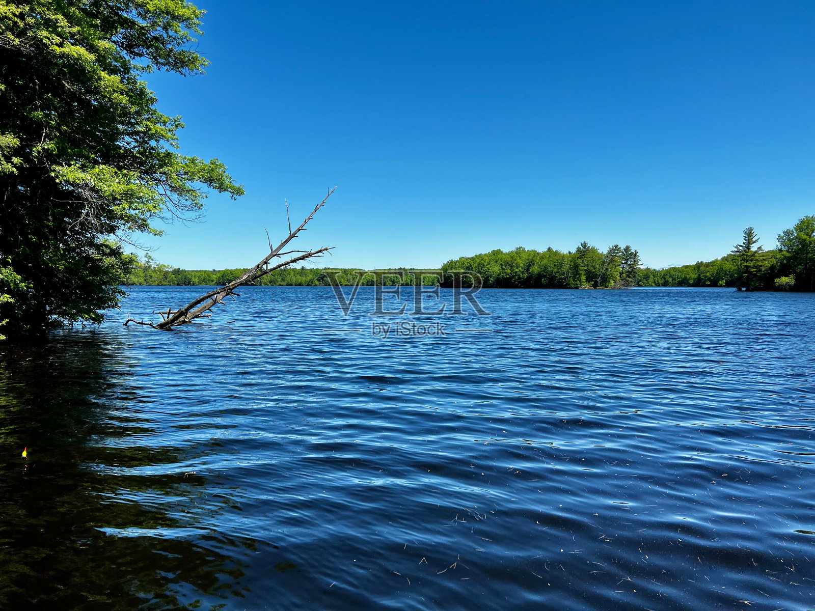 淡水湖背景照片摄影图片