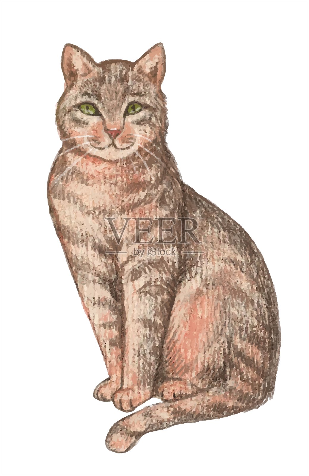 灰猫坐着。插图。矢量在孤立背景上。插画图片素材