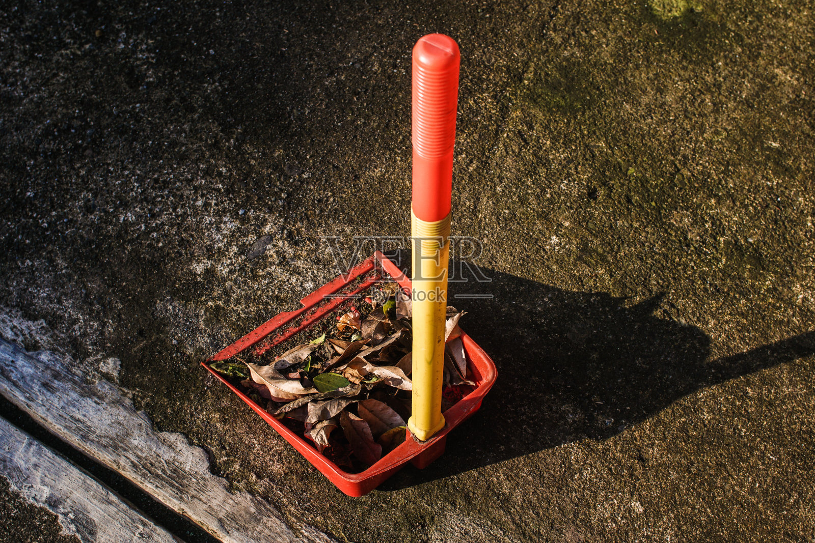 清晨，花园里的簸箕上堆着一堆干燥的秋叶。家庭环境的洁净度概念。照片摄影图片