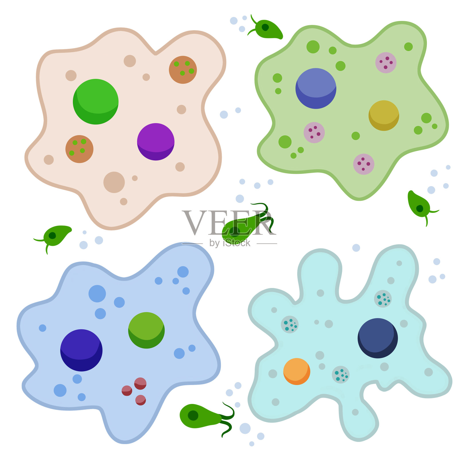 变形虫细胞。小的单细胞动物。病毒和细菌。教育和科学。插画图片素材