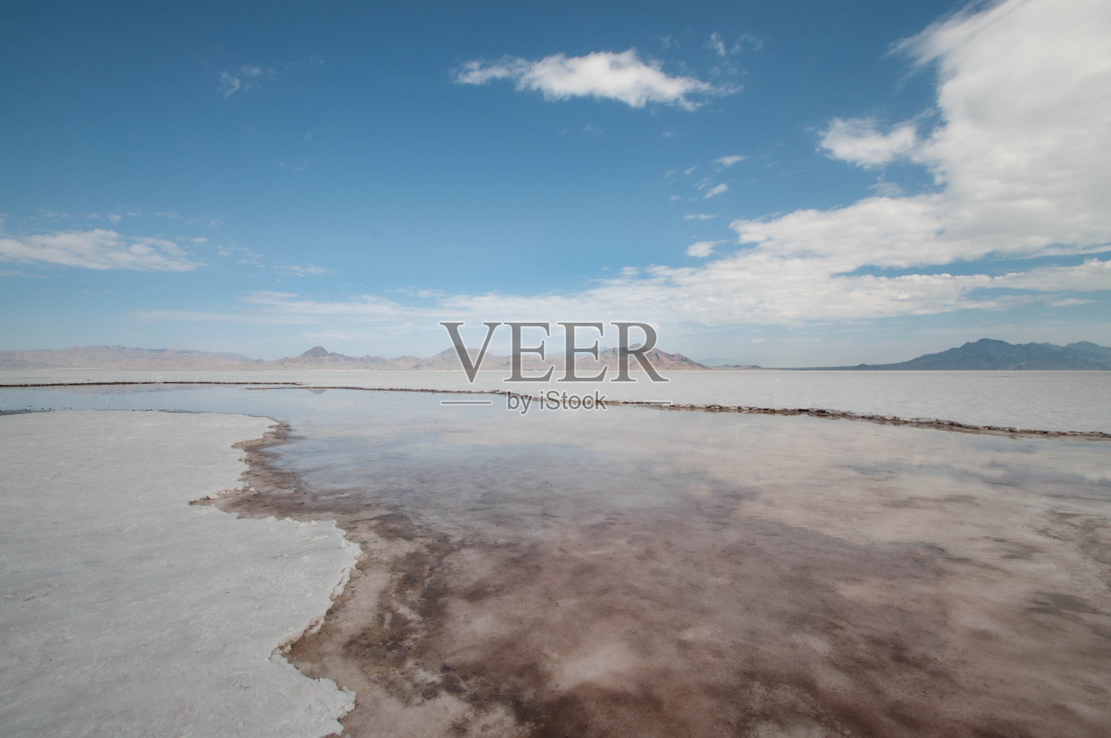 盐沼照片摄影图片