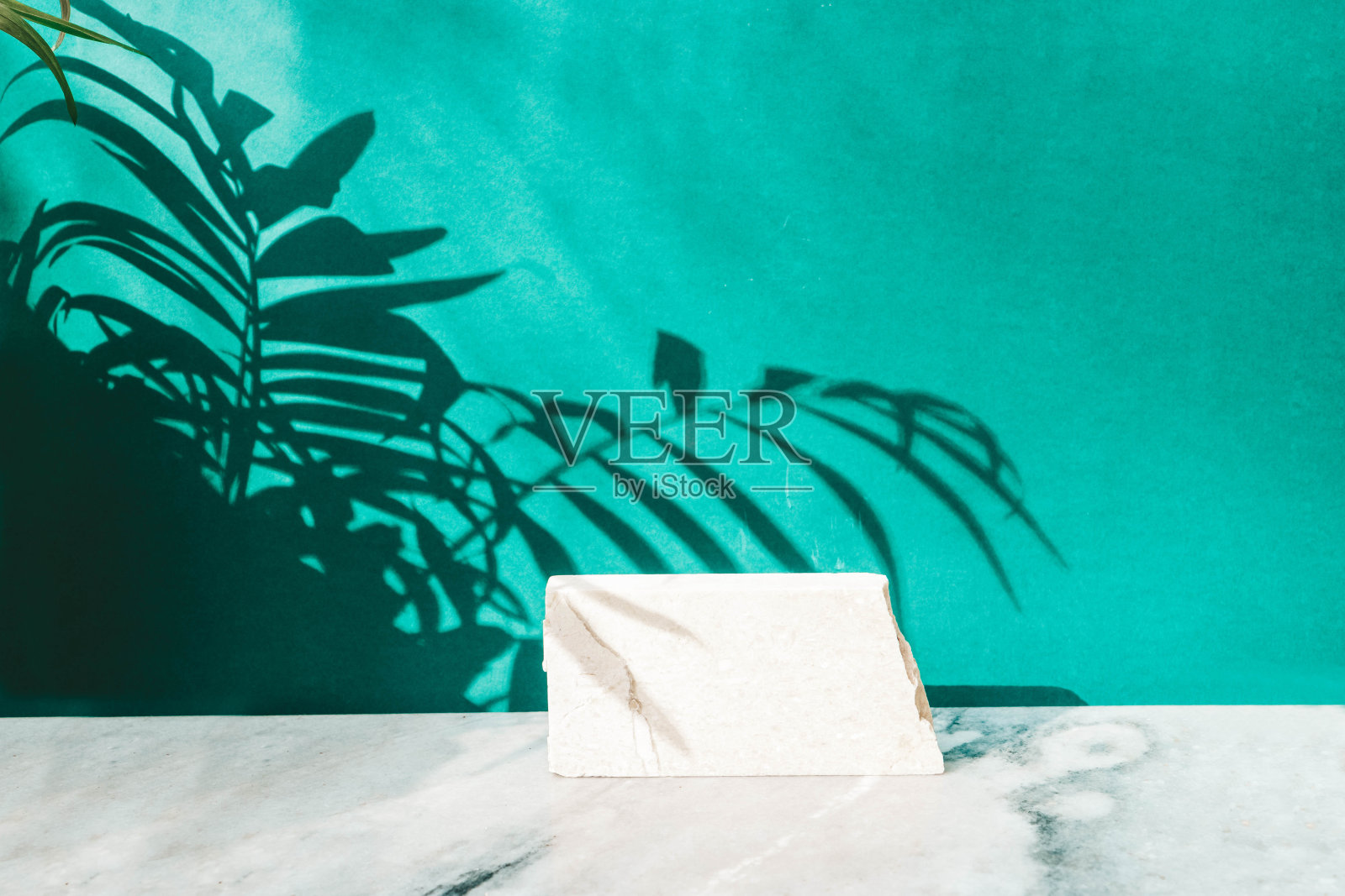 最小的产品显示照片摄影图片