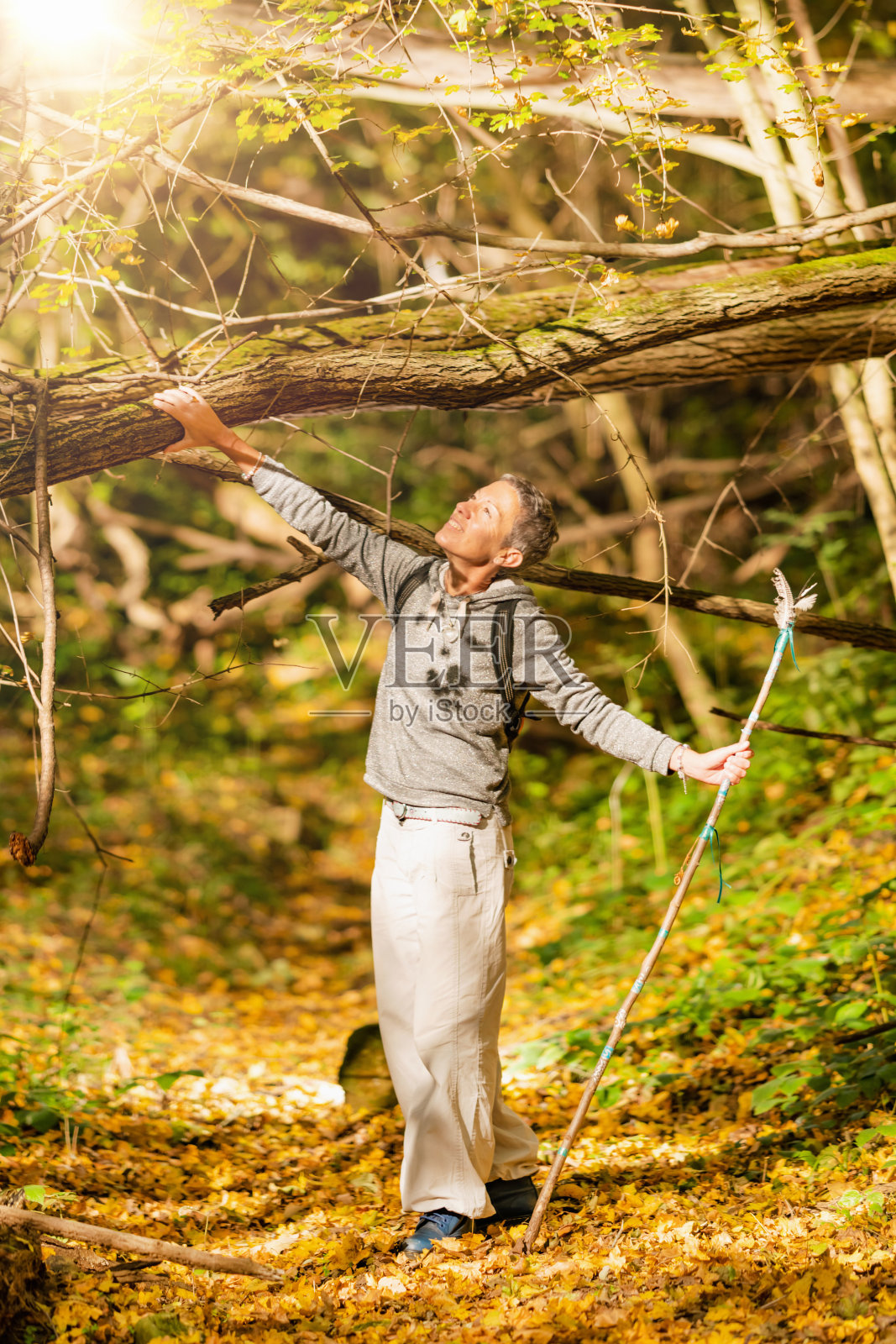 穿越魔法森林的心灵之旅。照片摄影图片