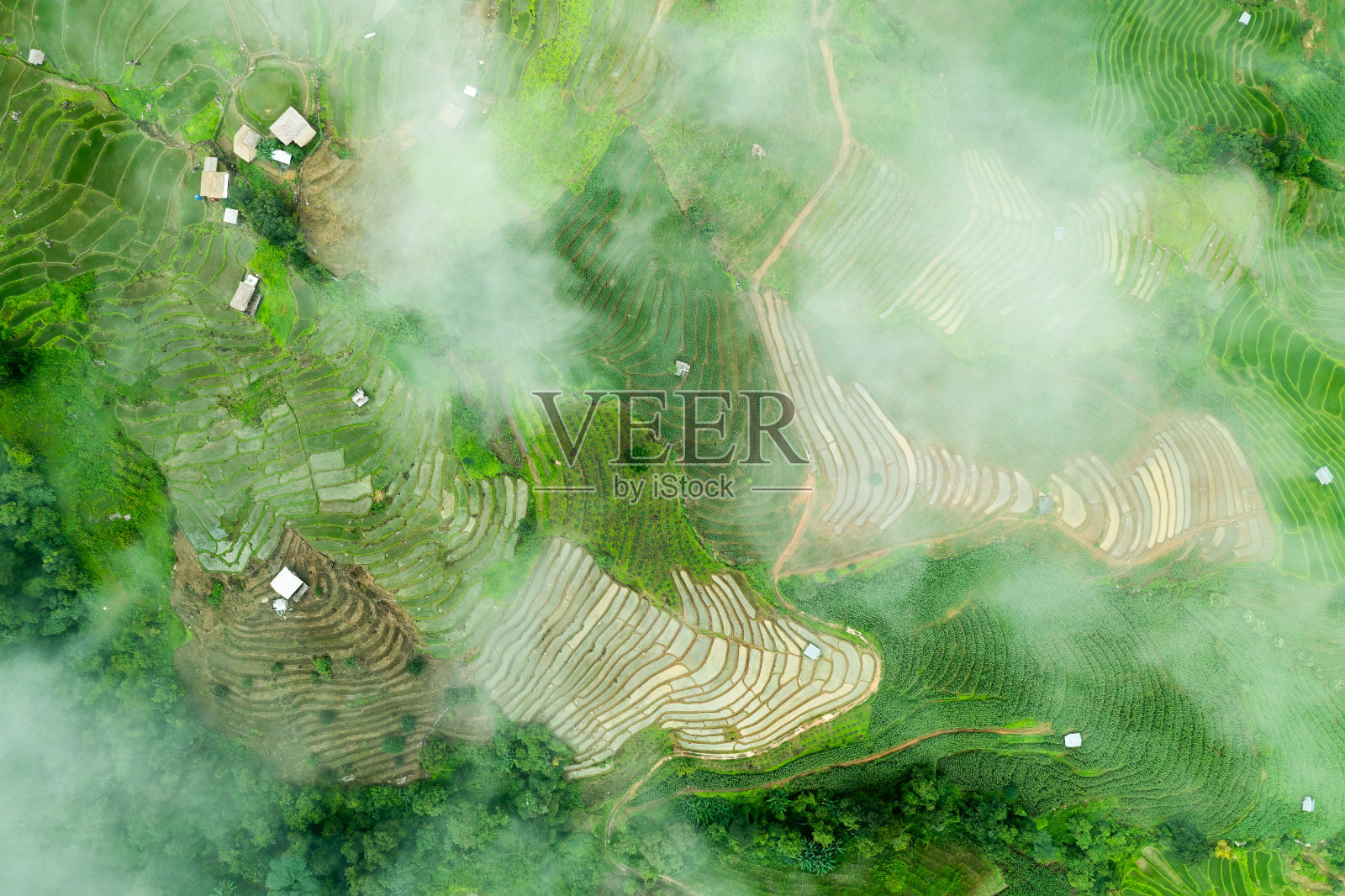 梯田，Baan Pa Pong Pieng照片摄影图片