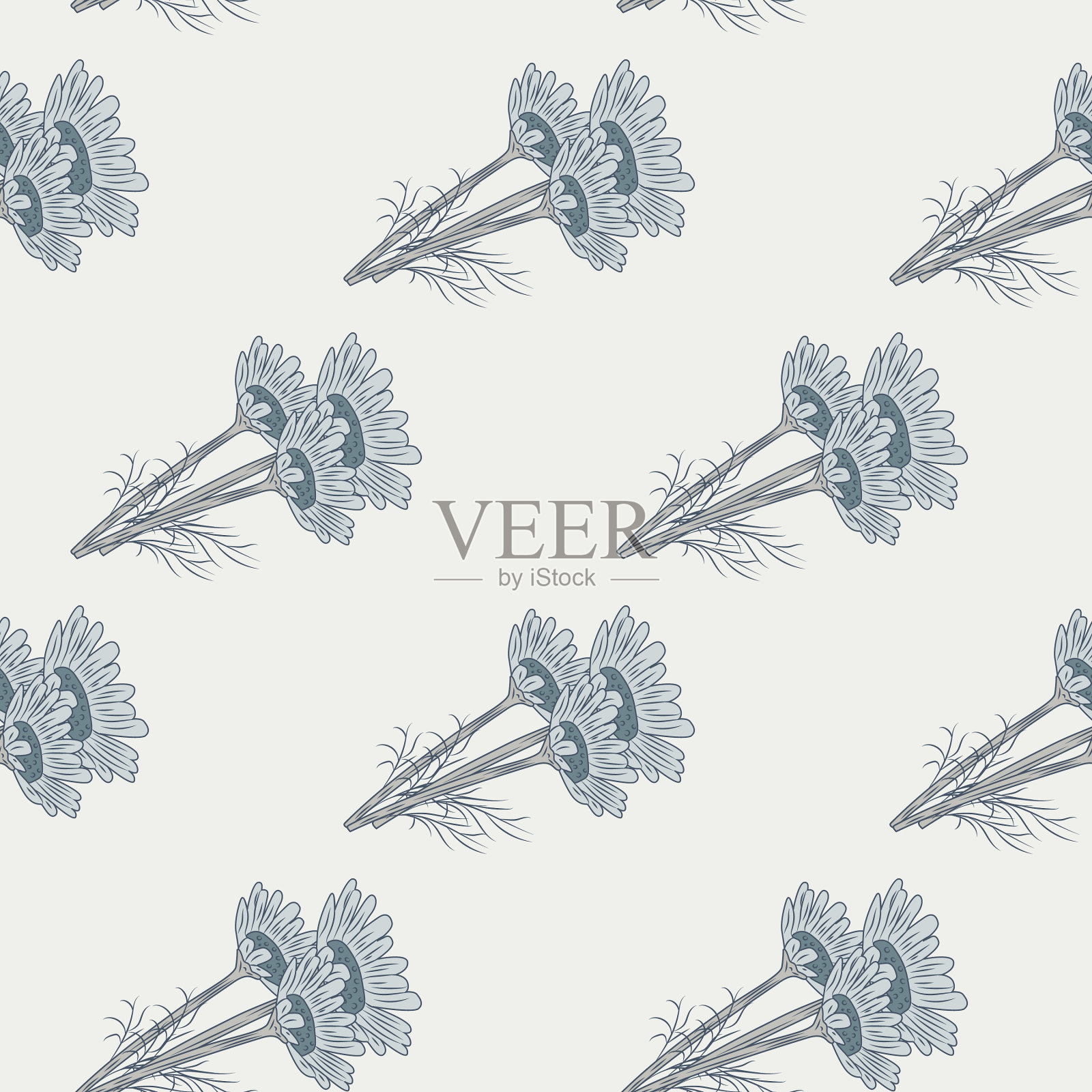 无缝图案洋甘菊在光背景插画图片素材