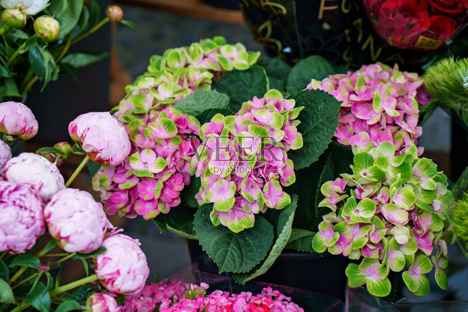 花卉市场上的牡丹和绣球花。粉红色的花在每周的农贸市场出售。照片摄影图片