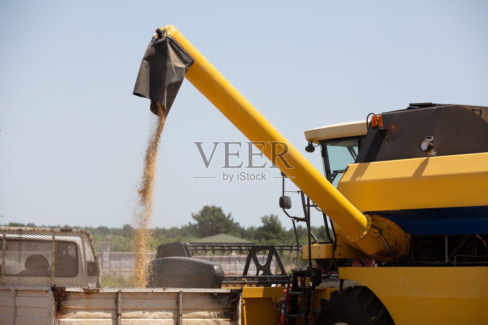 联合收割机收割大麦田照片摄影图片
