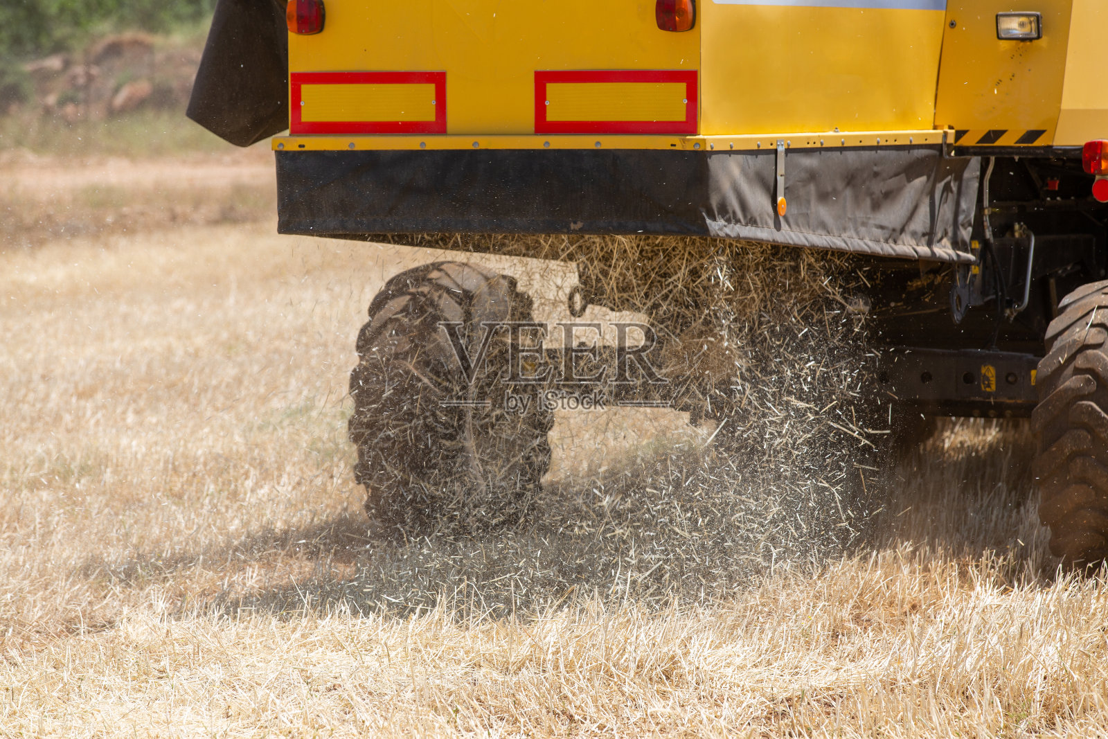 联合收割机收割大麦田照片摄影图片