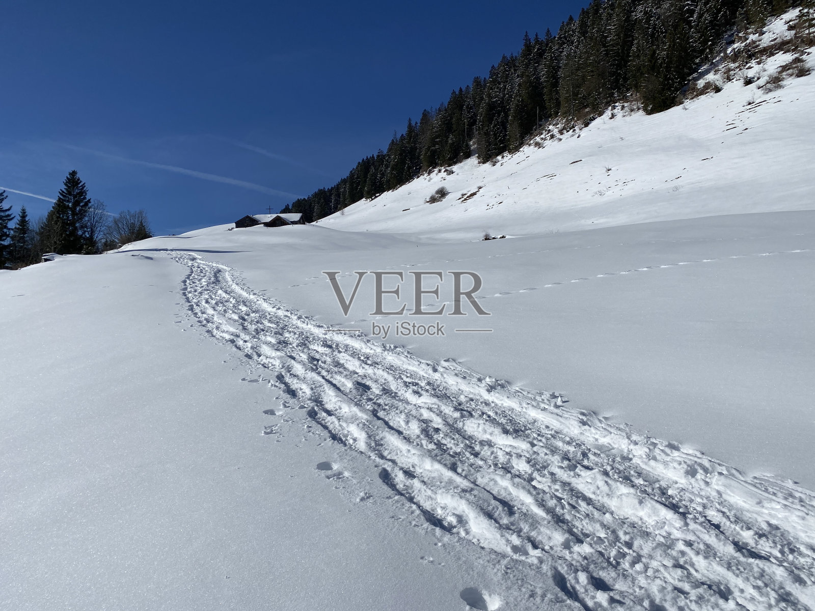 美妙的冬季徒步路线和痕迹的山坡上的阿尔卑斯山脉和瑞士阿尔卑斯山新鲜的高山积雪- Alt St. Johann，瑞士(Schweiz)照片摄影图片