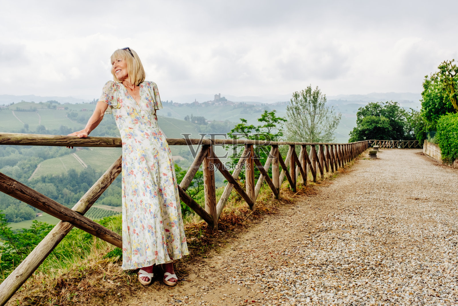 内比奥拉葡萄树的土地上照片摄影图片