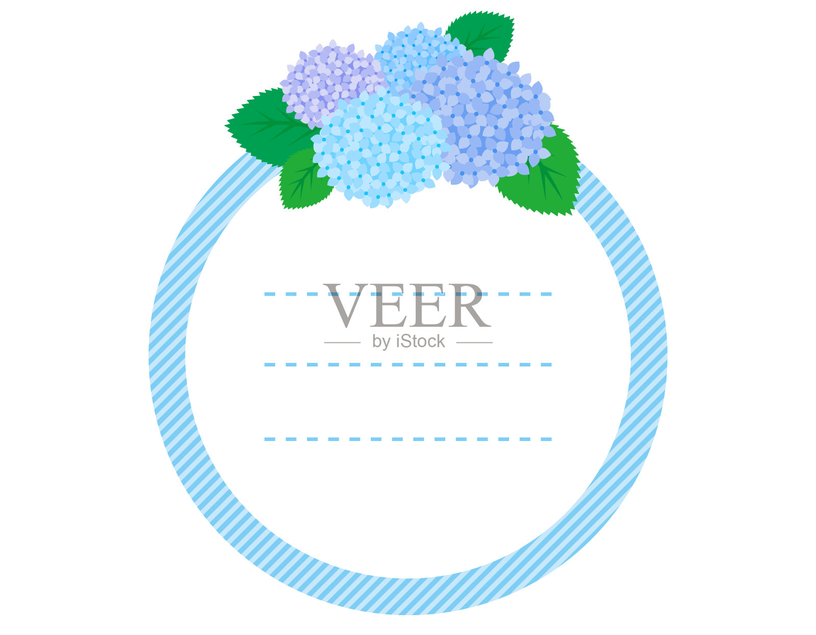 矢量插图绣球花。雨季的鲜花。插画图片素材