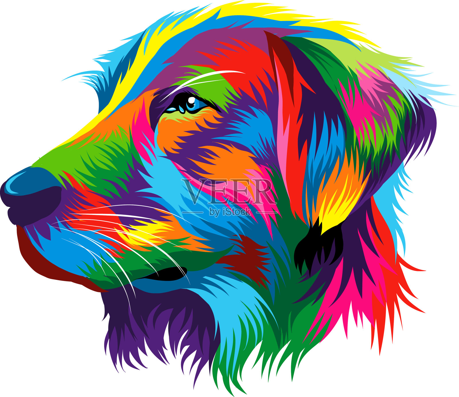 金毛猎犬的头部肖像设计元素图片