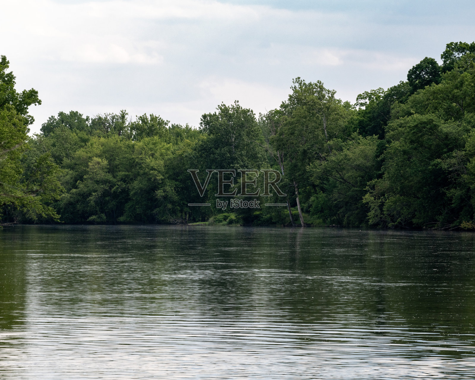 安静的河流，两岸绿树成荫照片摄影图片