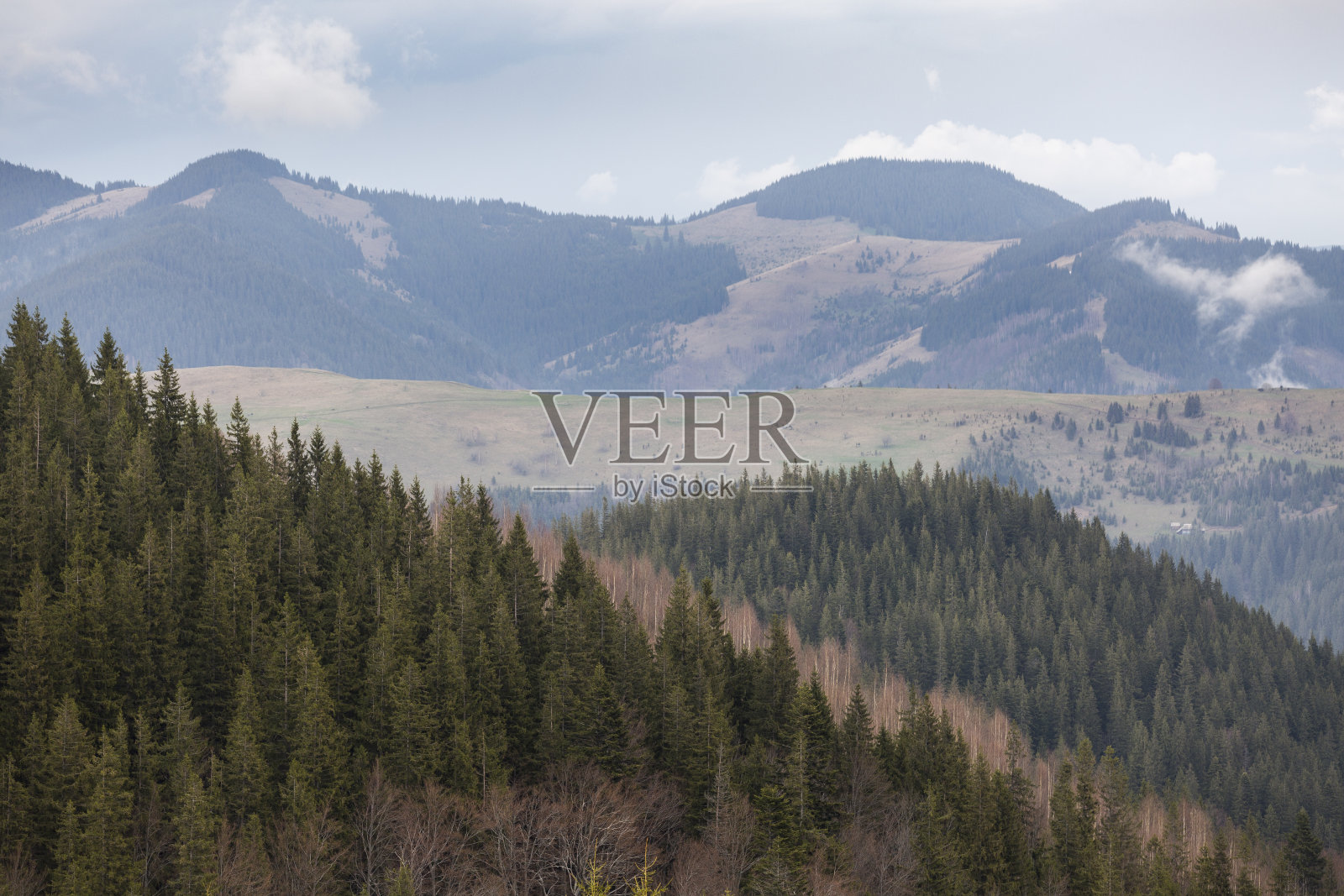 喀尔巴阡山的草地和山脉在雨后被雾覆盖照片摄影图片