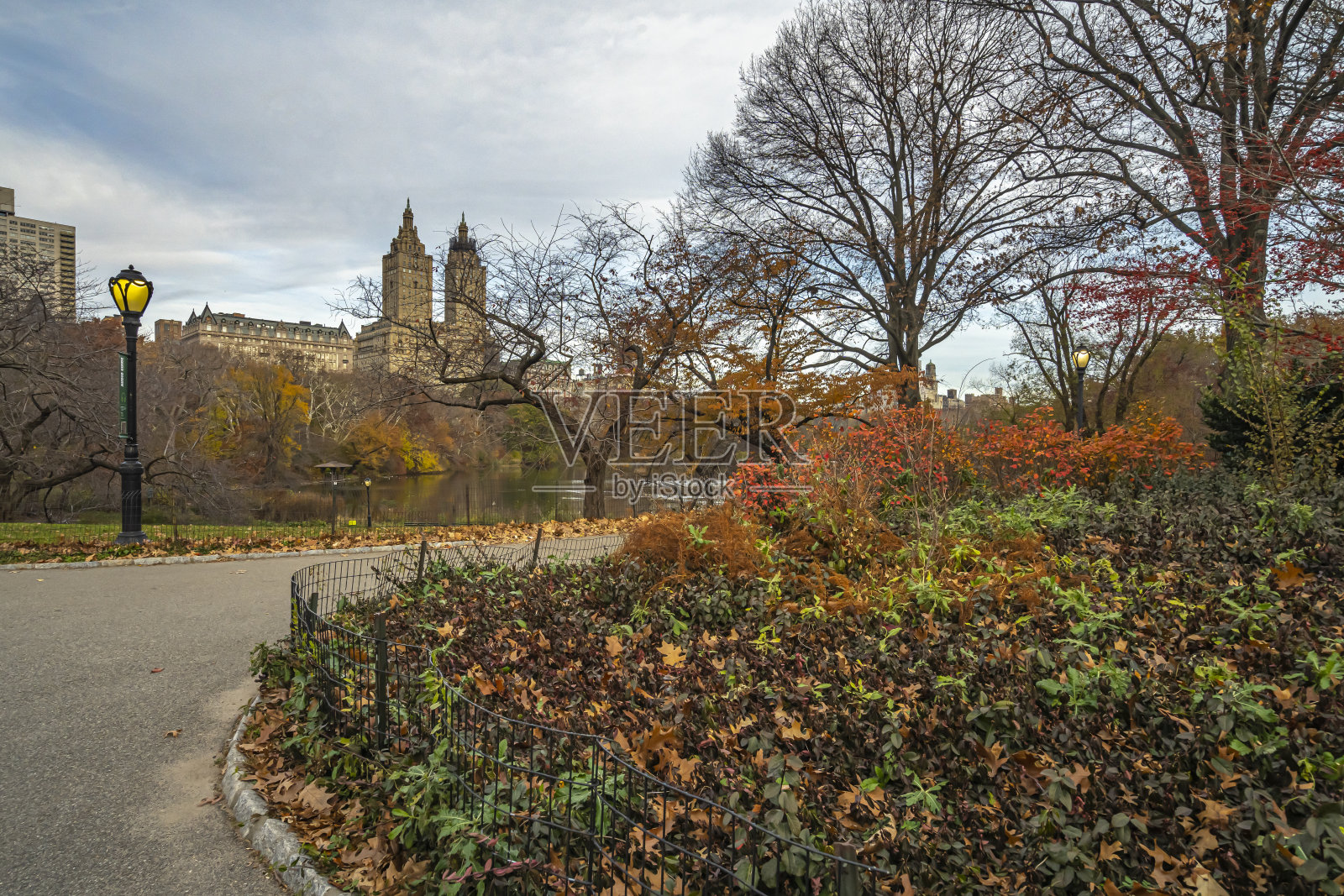 中央公园的秋天照片摄影图片