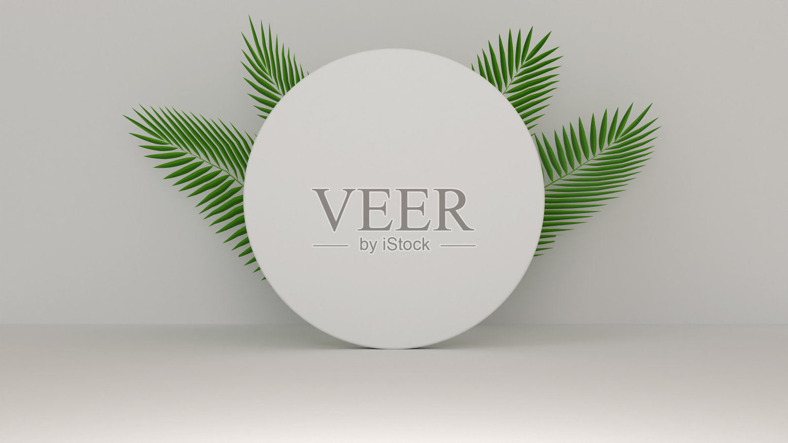 极简热带场景的广告和产品介绍。照片摄影图片