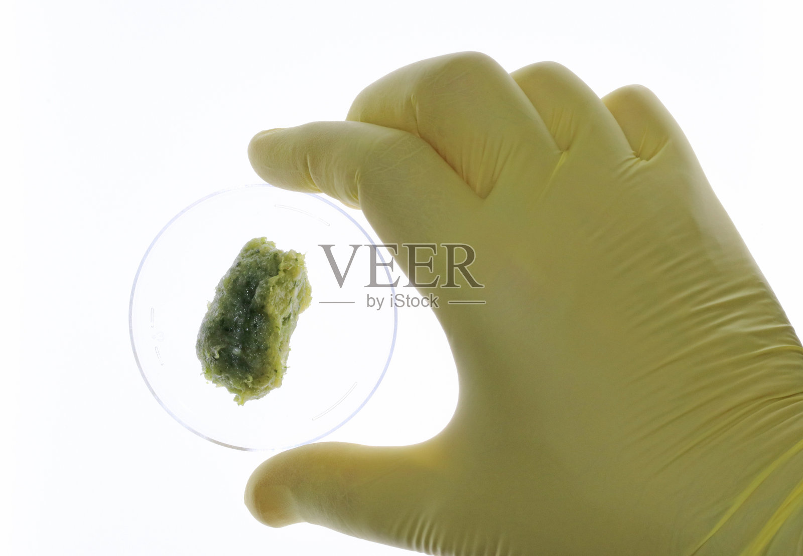 在实验室里用蔬菜制成的肉。植物性肉类的概念。照片摄影图片