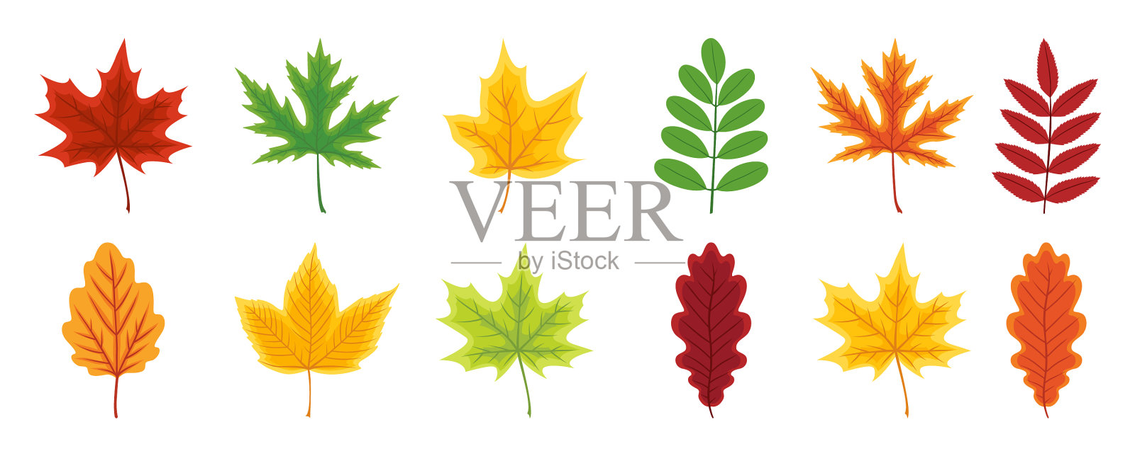 秋天的落叶套着秋天的枫叶橡树图标素材