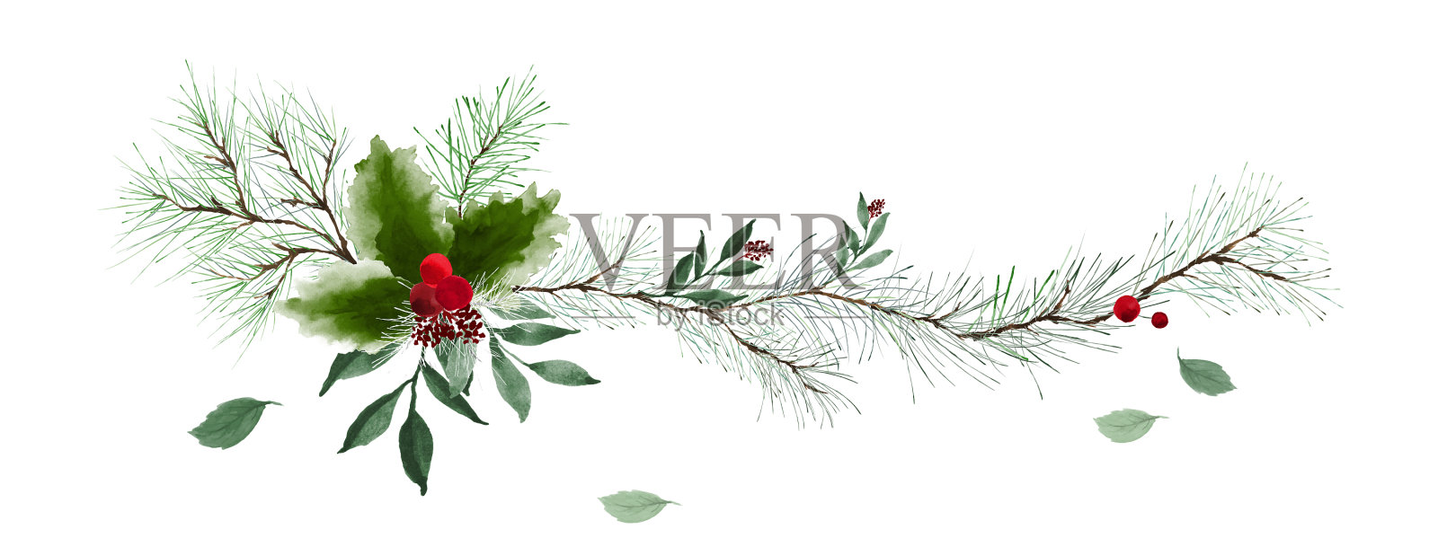 青松与冬青枝干横缘设计元素图片