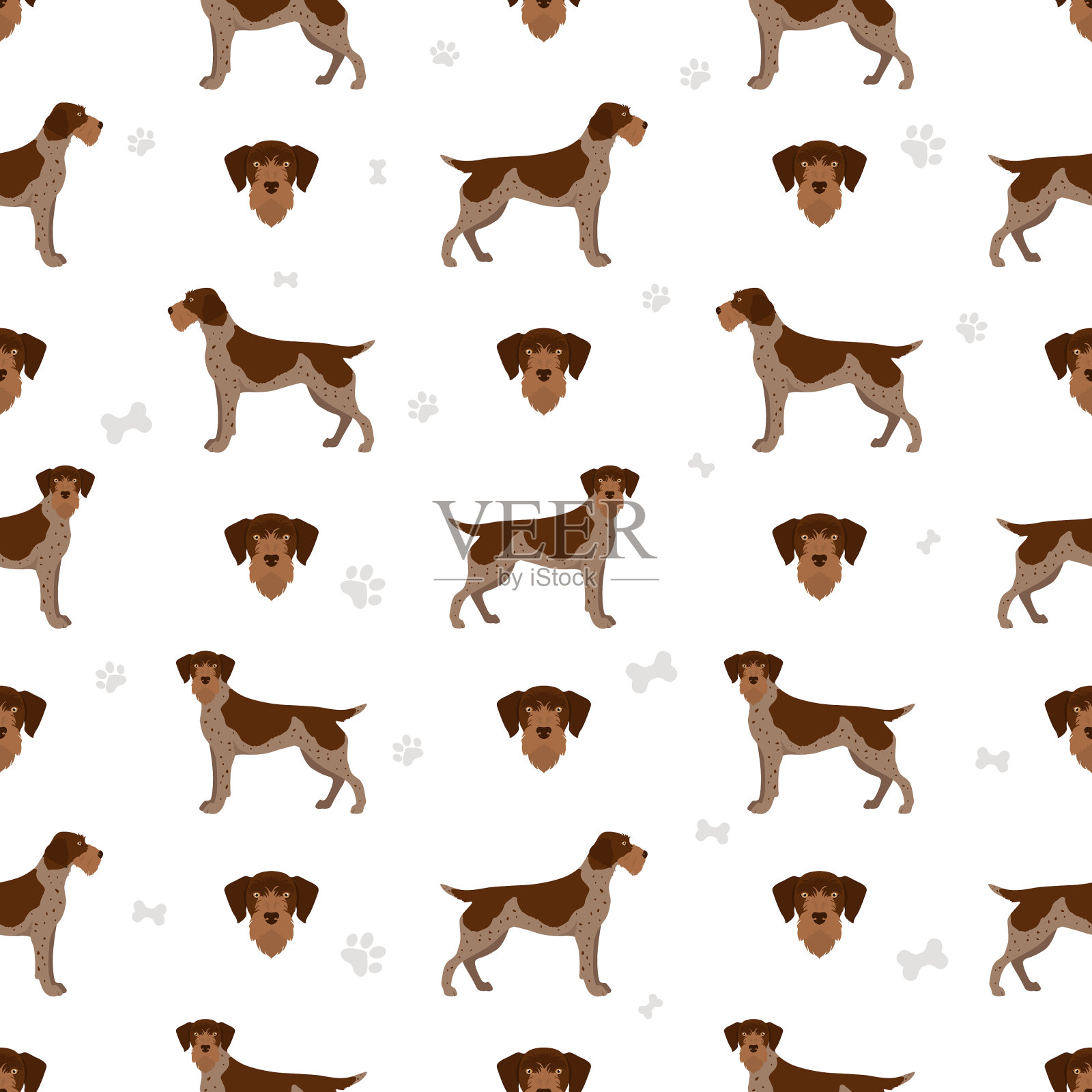 德国wirehaired指针无缝图案插画图片素材