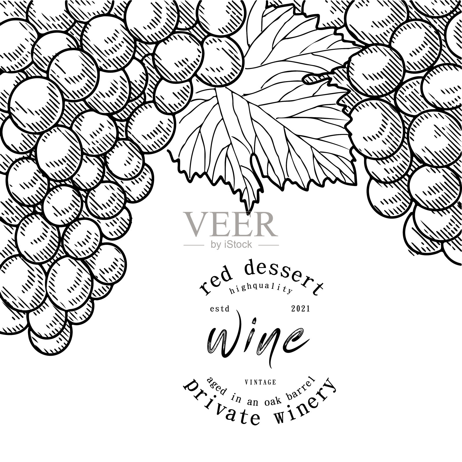 葡萄酒标签插画图片素材