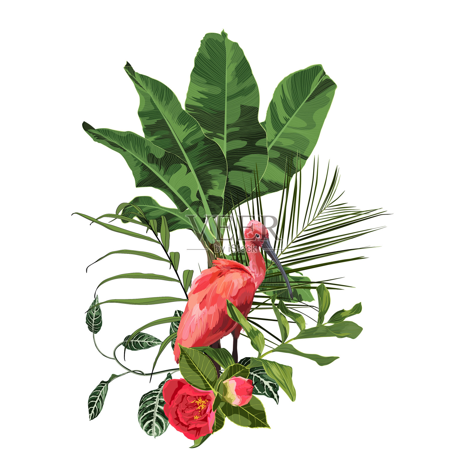 热带花束和异国情调的朱鹭插画图片素材