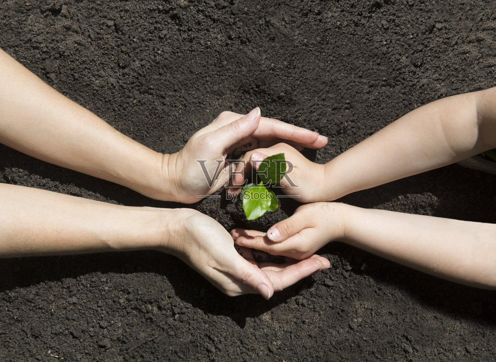 地球日的概念，有机园艺，生态学。利用空闲时间做自己喜欢的爱好。在春天的一天，妈妈和孩子在花园里种植幼苗。生活的概念。孩子在家里的花园里帮忙。照片摄影图片