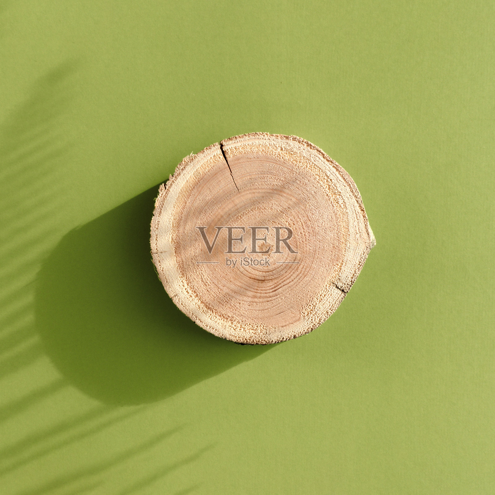 木刻盘躺在一个时髦的绿色背景花的影子照片摄影图片