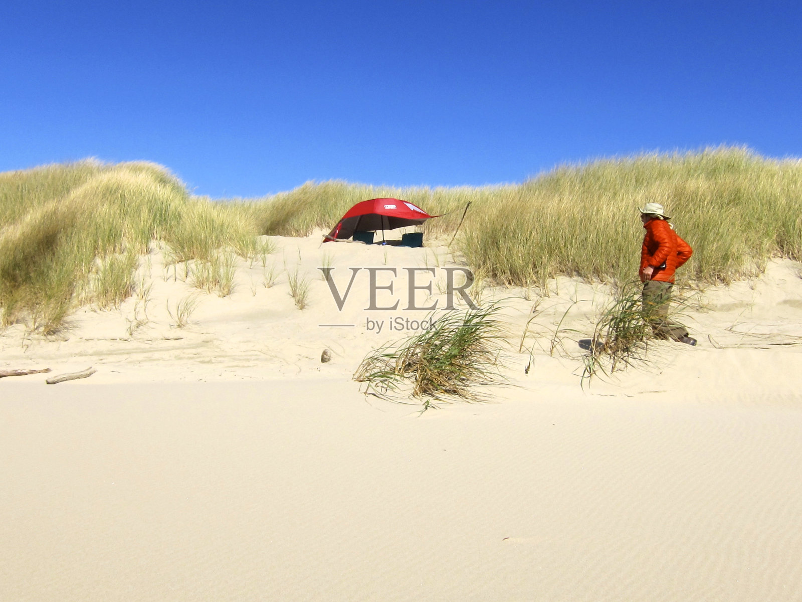 俄勒冈海岸的遮阳伞日照片摄影图片