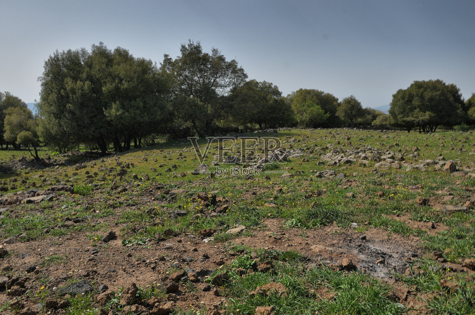 以色列北部奥德姆森林戈兰高地的大朱普塔陨石坑景色照片摄影图片