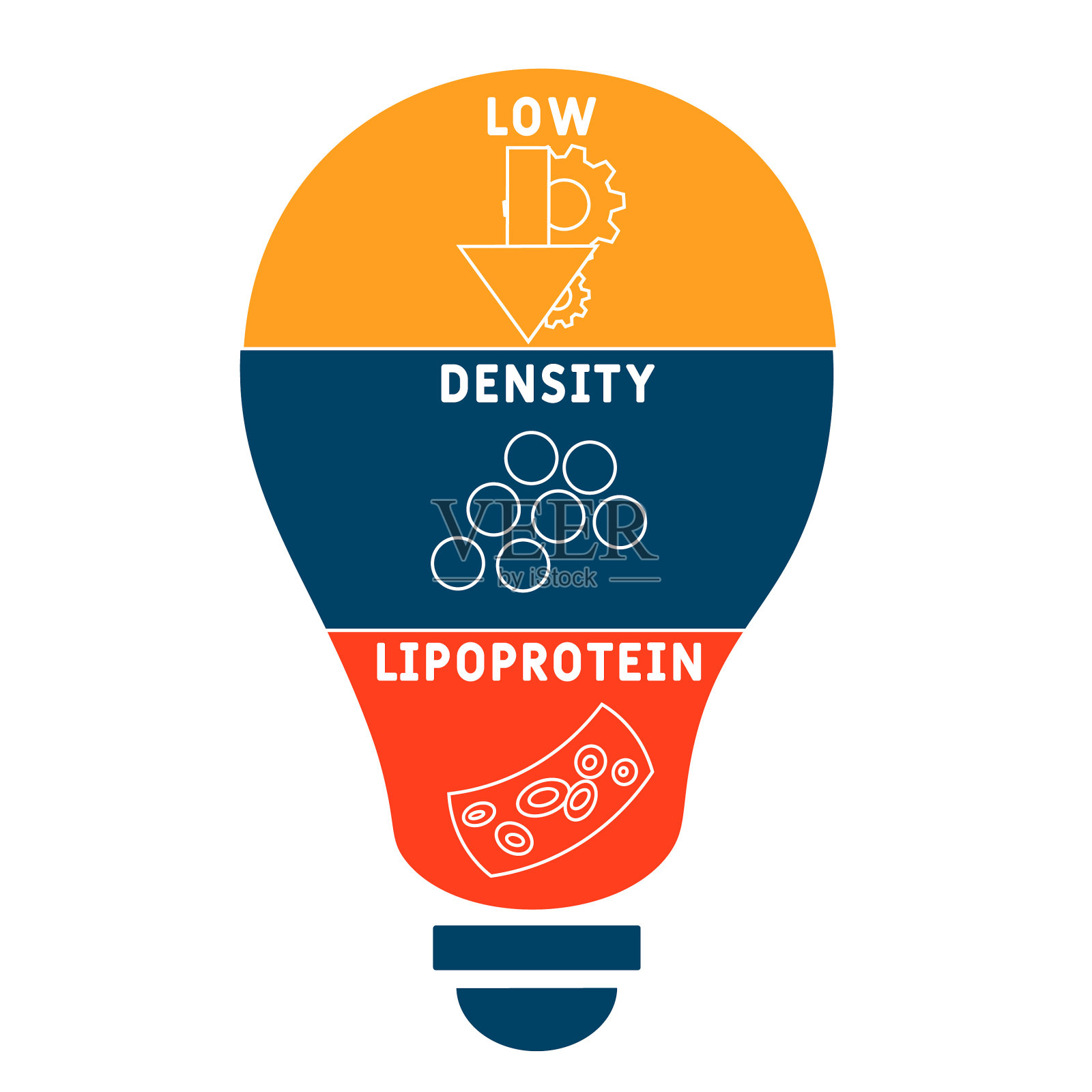 LDL低密度脂蛋白的缩写插画图片素材