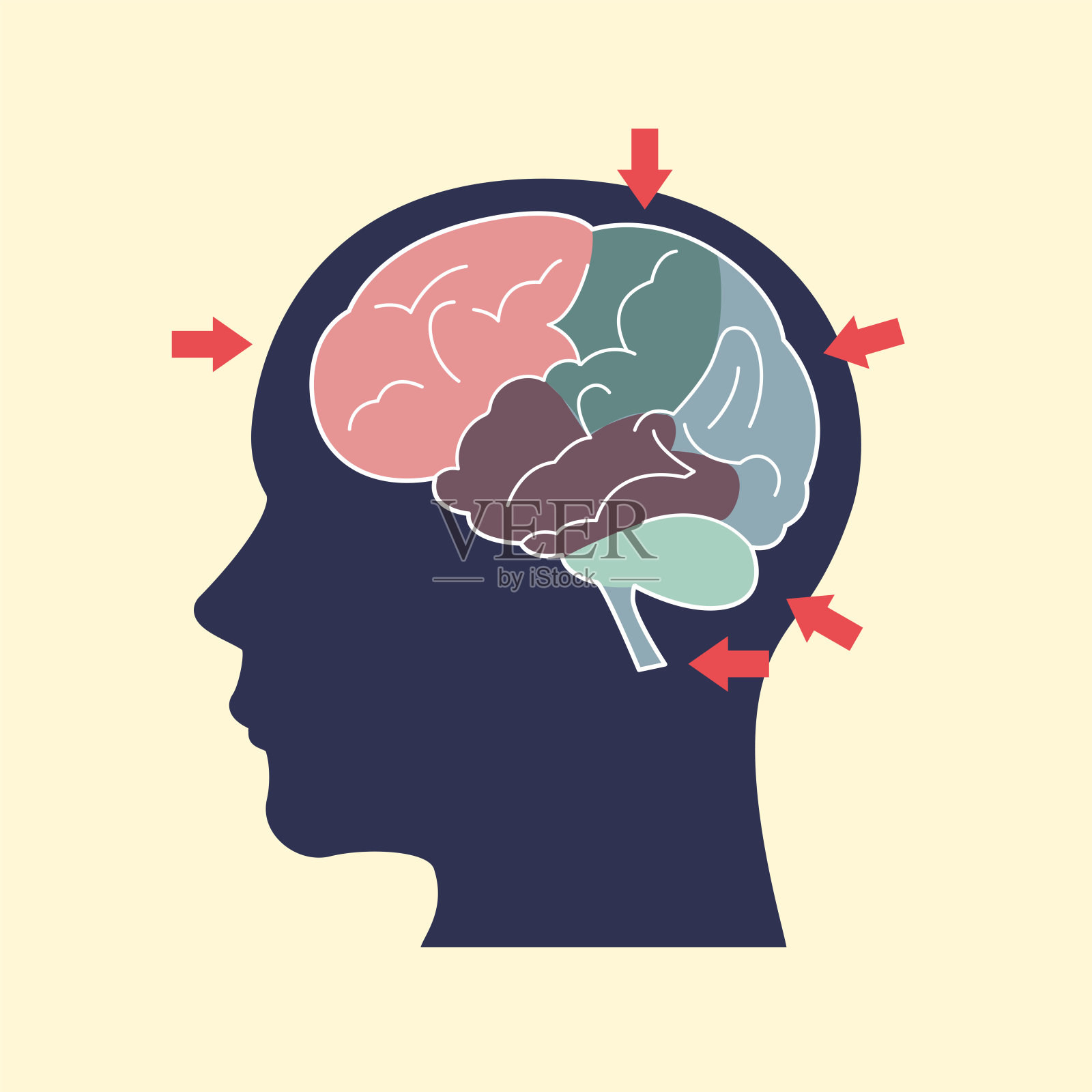 大脑插画图片素材