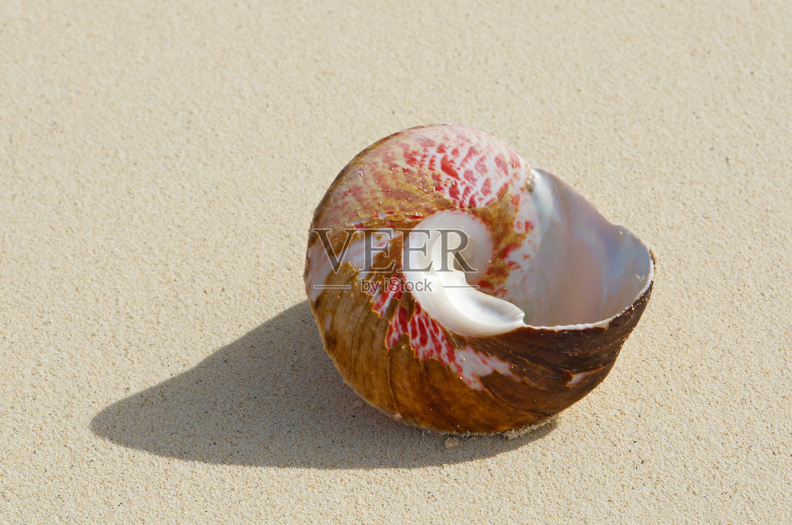 拉罗汤加、库克群岛照片摄影图片