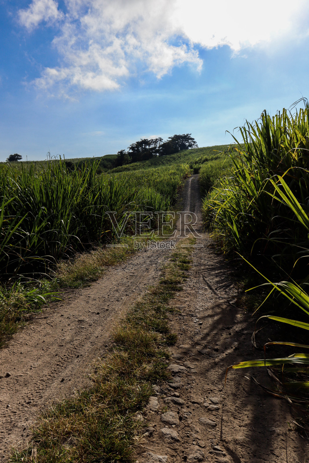 顺着足迹。照片摄影图片